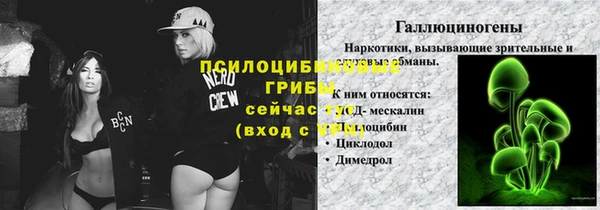 ГАЛЛЮЦИНОГЕННЫЕ ГРИБЫ Волосово