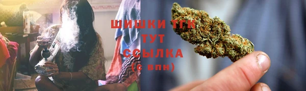 ГАЛЛЮЦИНОГЕННЫЕ ГРИБЫ Волосово
