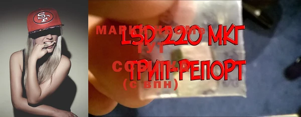 ГАЛЛЮЦИНОГЕННЫЕ ГРИБЫ Волосово