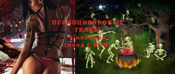 ГАЛЛЮЦИНОГЕННЫЕ ГРИБЫ Волосово