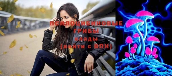 ГАЛЛЮЦИНОГЕННЫЕ ГРИБЫ Волосово