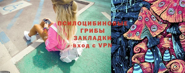 ГАЛЛЮЦИНОГЕННЫЕ ГРИБЫ Волосово